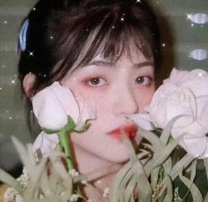 虎妞儿的赛车梦